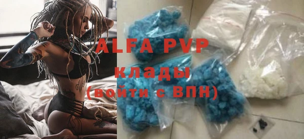 индика Кукмор