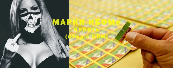 индика Кукмор