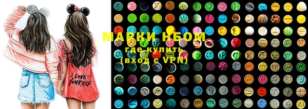 индика Кукмор