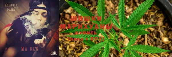 индика Кукмор